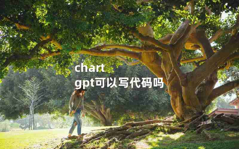 chart gpt可以写代码吗