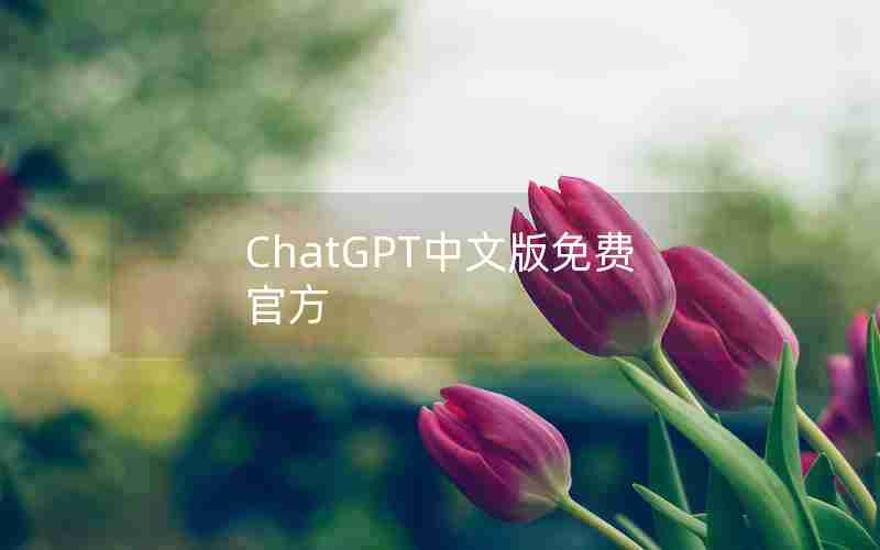 ChatGPT中文版免费官方