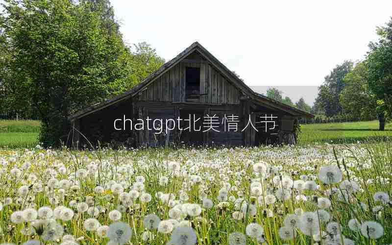 chatgpt北美情人节,美国情人节活动