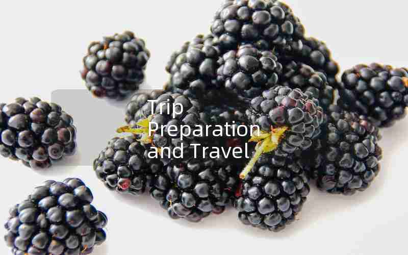 Trip Preparation and Travel