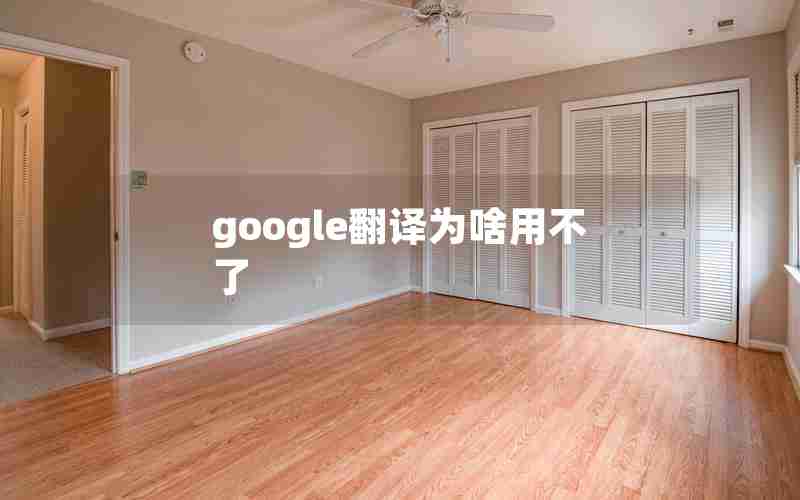 google翻译为啥用不了