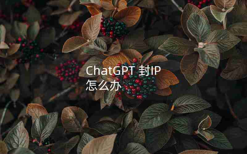 ChatGPT 封IP 怎么办