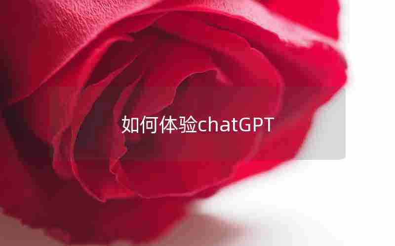 如何体验chatGPT