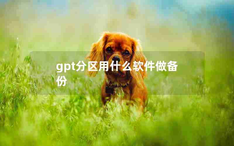 gpt分区用什么软件做备份