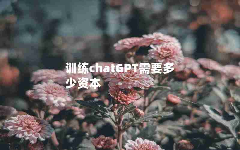 训练chatGPT需要多少资本