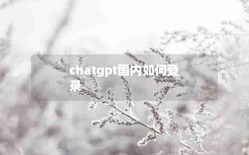 chatgpt国内如何登录_chat gpt 国内版入口