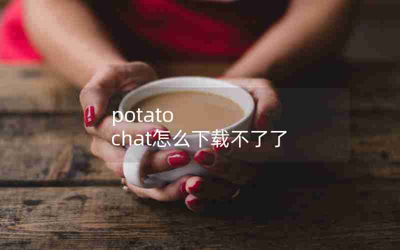 potato chat怎么下载不了了