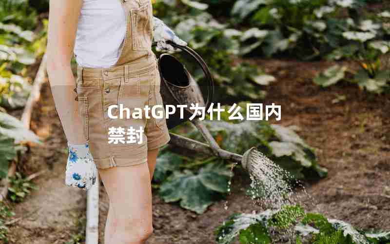 ChatGPT为什么国内禁封,ChatGPT对中国的影响