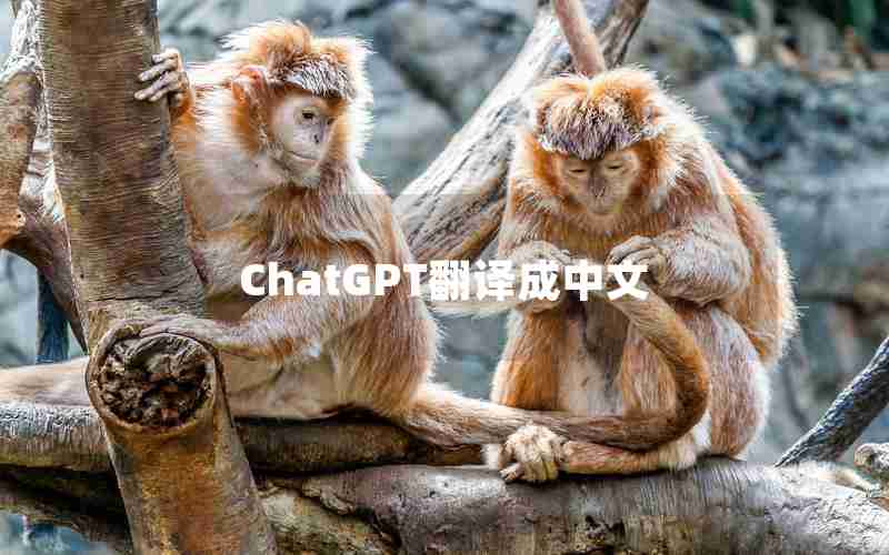 ChatGPT翻译成中文