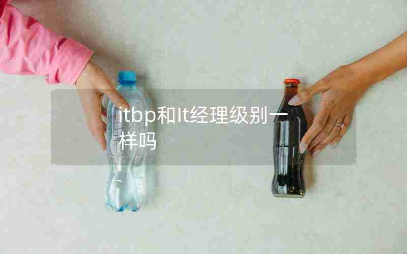 itbp和It经理级别一样吗