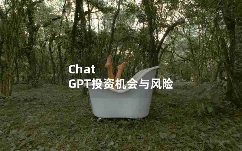 Chat GPT投资机会与风险