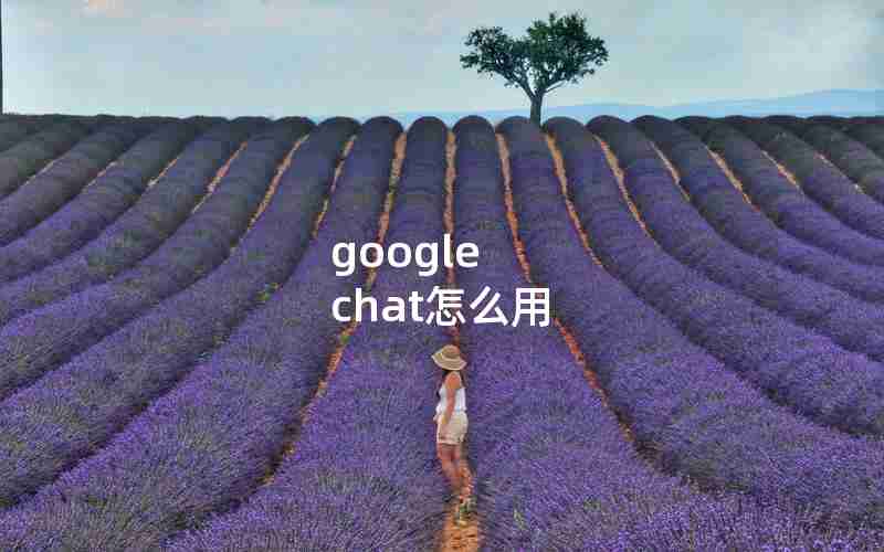 google chat怎么用