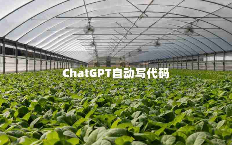 ChatGPT自动写代码