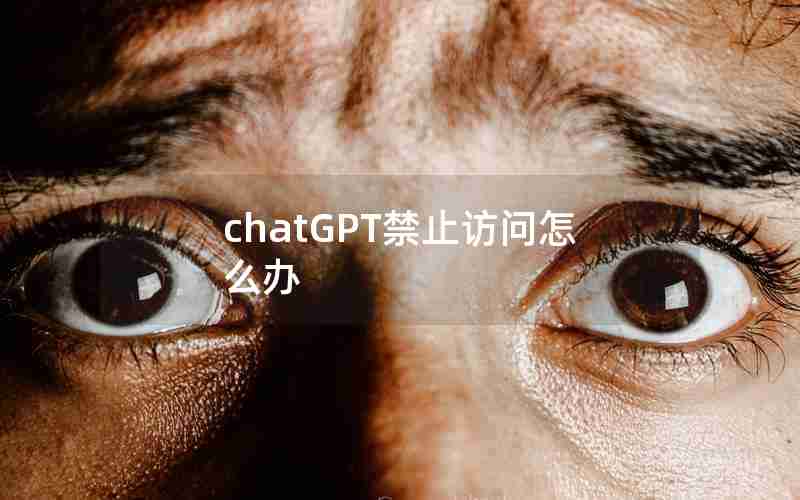 chatGPT禁止访问怎么办