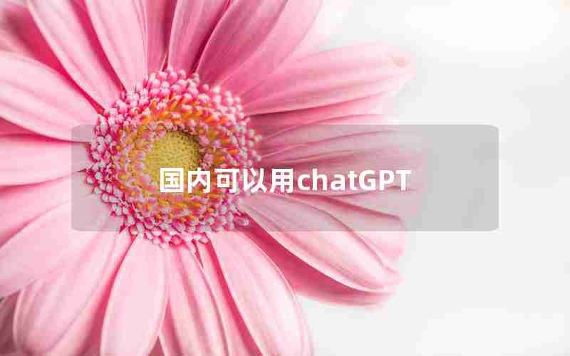 国内可以用chatGPT