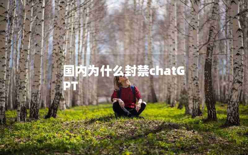 国内为什么封禁chatGPT