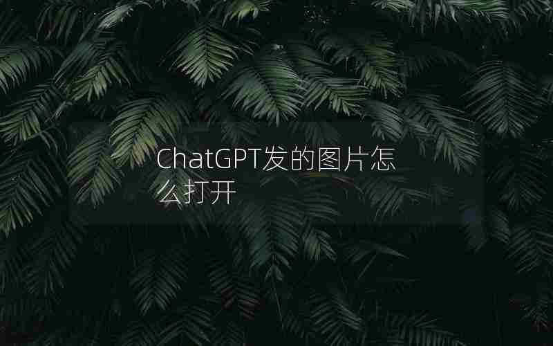 ChatGPT发的图片怎么打开