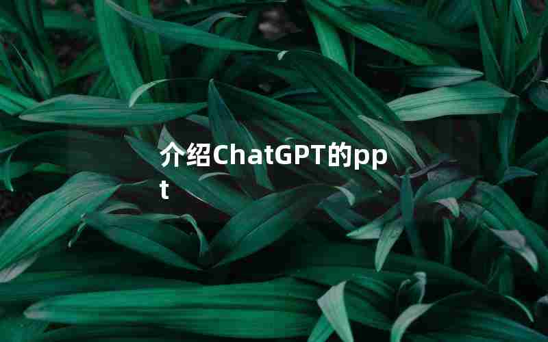 介绍ChatGPT的ppt