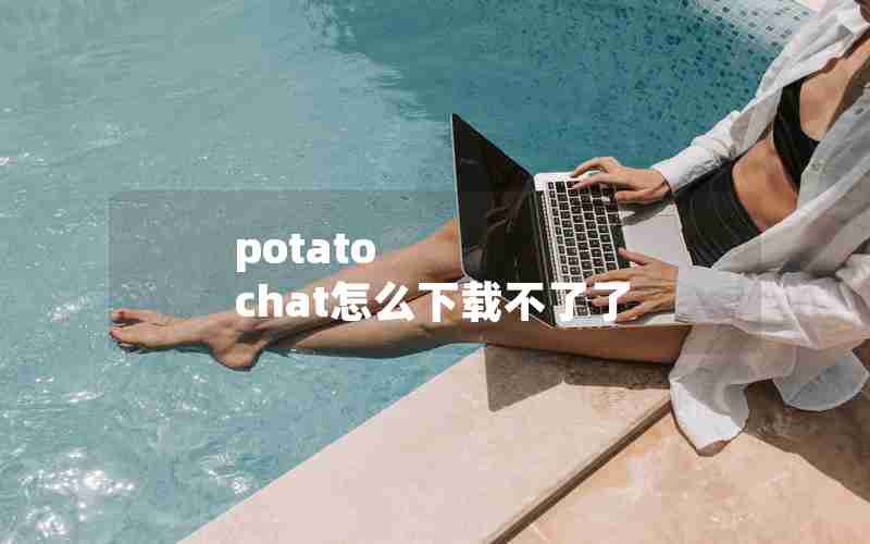 potato chat怎么下载不了了