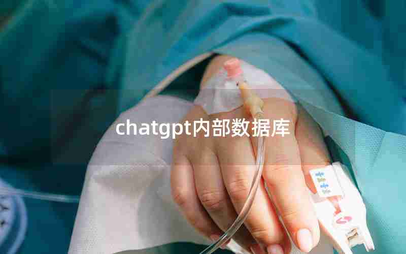 chatgpt内部数据库