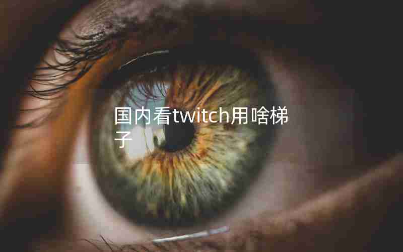 国内看twitch用啥梯子