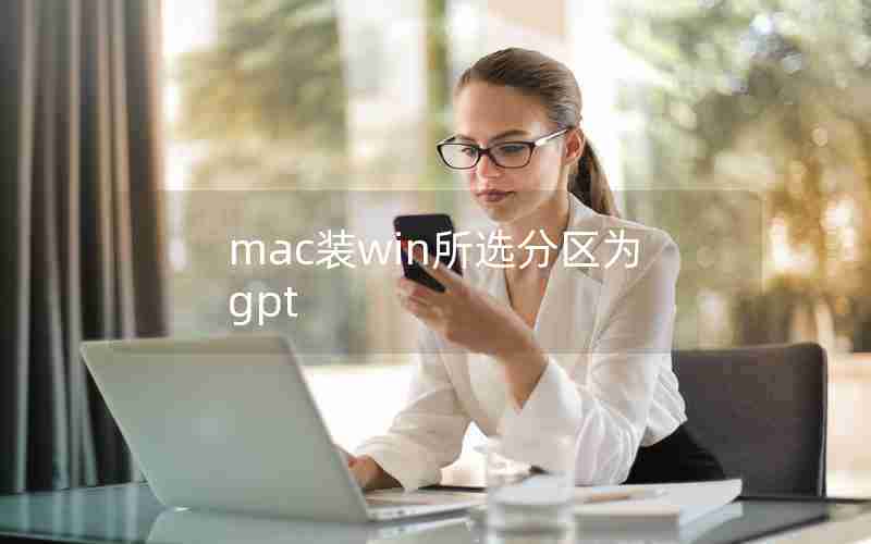 mac装win所选分区为gpt