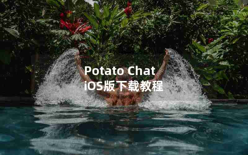 Potato Chat iOS版下载教程