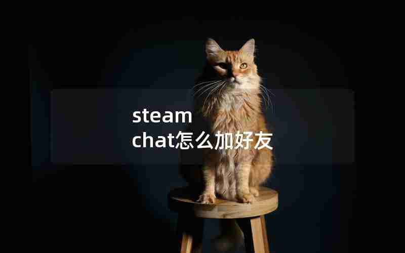 steam chat怎么加好友