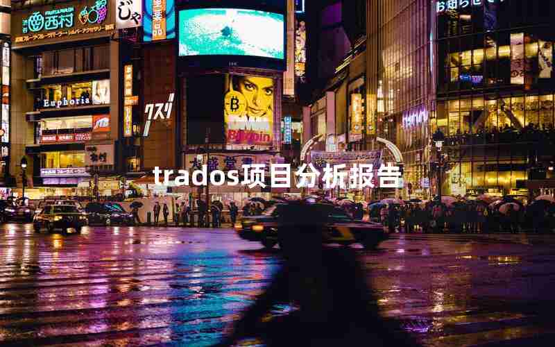 trados项目分析报告