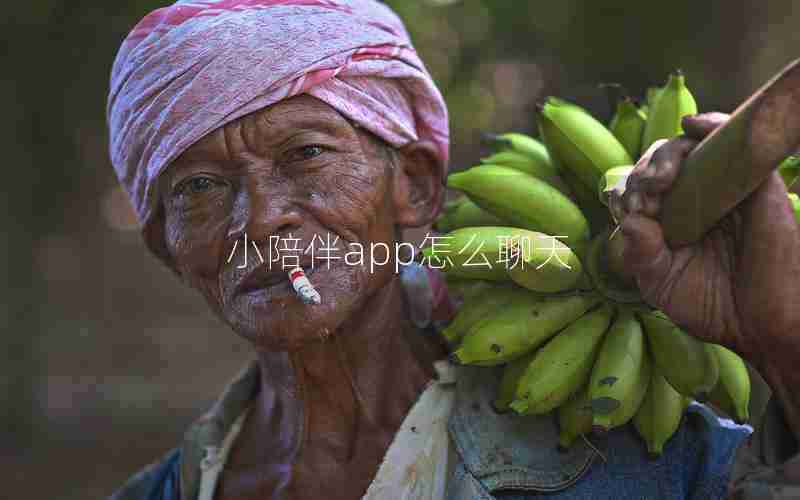 小陪伴app怎么聊天