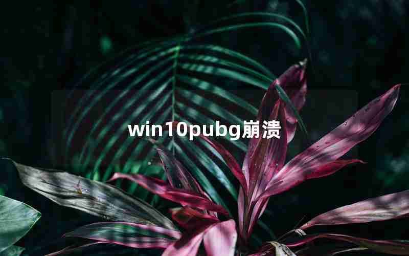 win10pubg崩溃