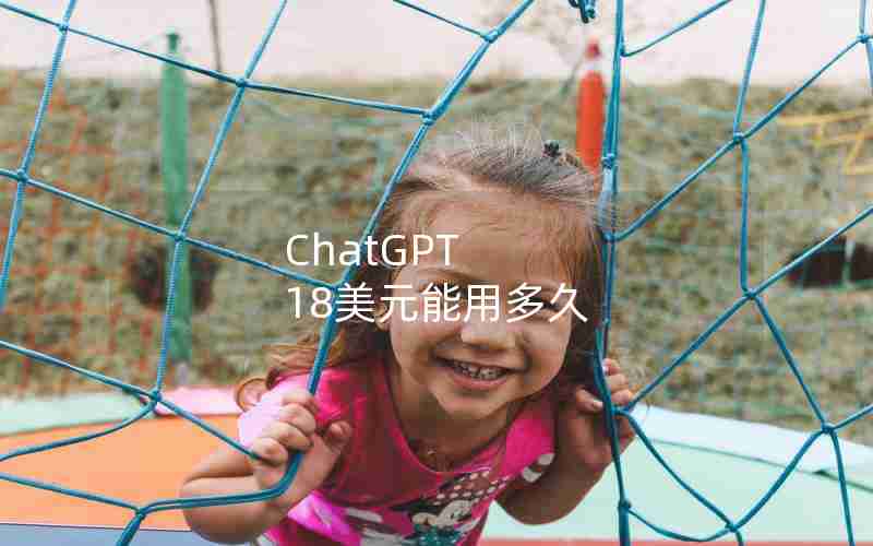 ChatGPT 18美元能用多久