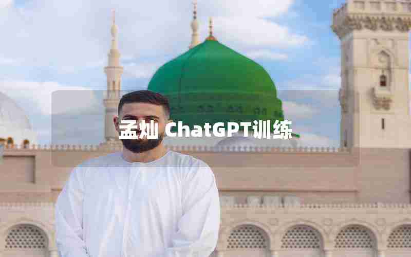 孟灿 ChatGPT训练