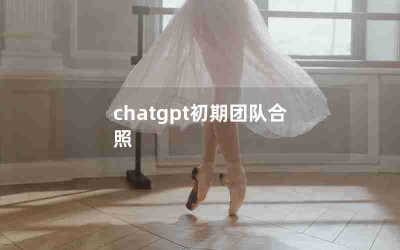 chatgpt初期团队合照