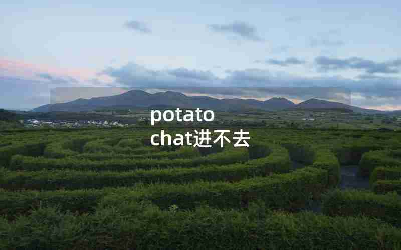 potato chat进不去