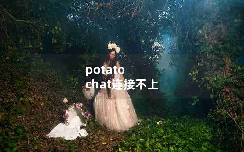 potato chat连接不上