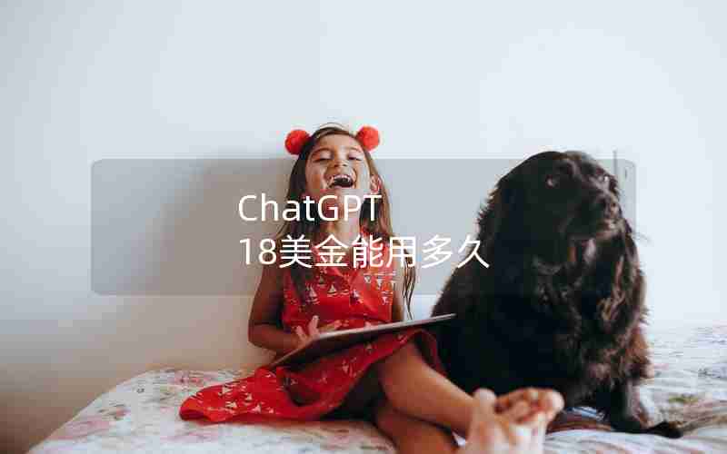 ChatGPT 18美金能用多久