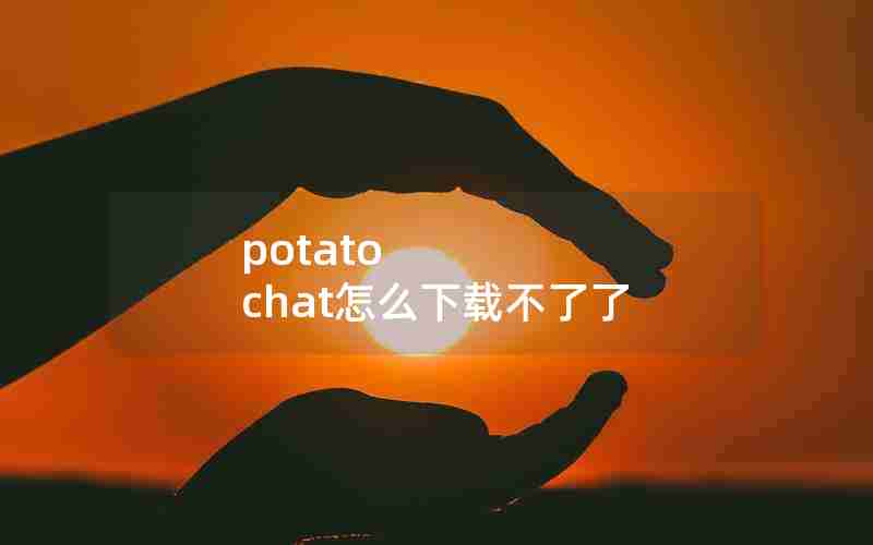 potato chat怎么下载不了了