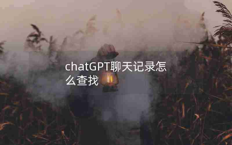 chatGPT聊天记录怎么查找