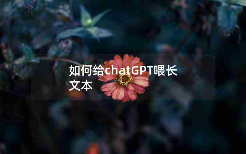 如何给chatGPT喂长文本