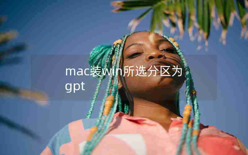 mac装win所选分区为gpt