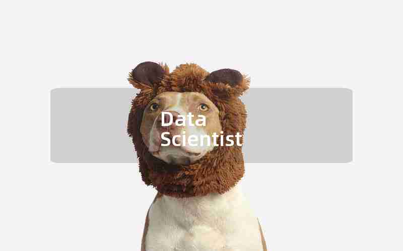 Data Scientist