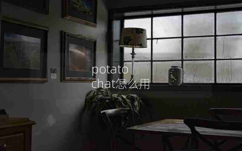 potato chat怎么用