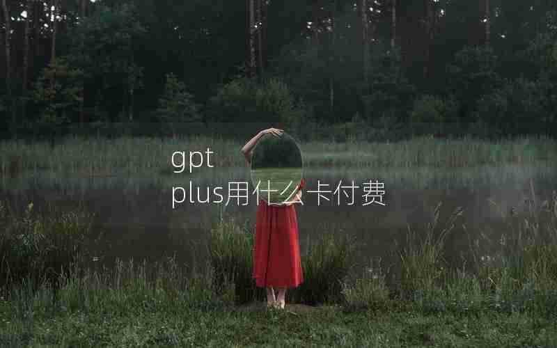 gpt plus用什么卡付费