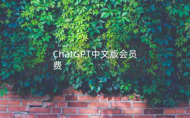 ChatGPT中文版会员费