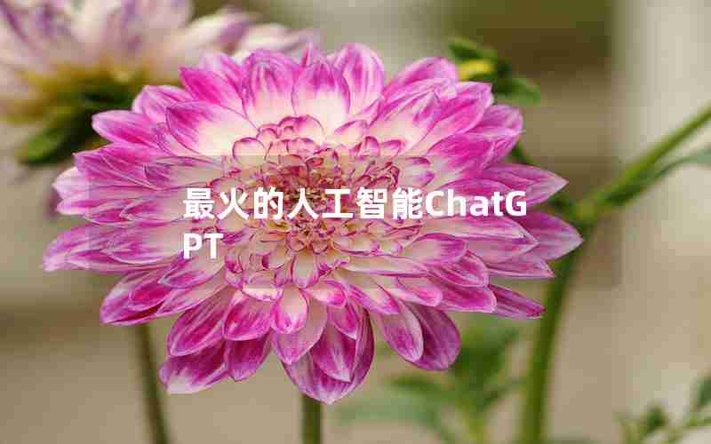 最火的人工智能ChatGPT