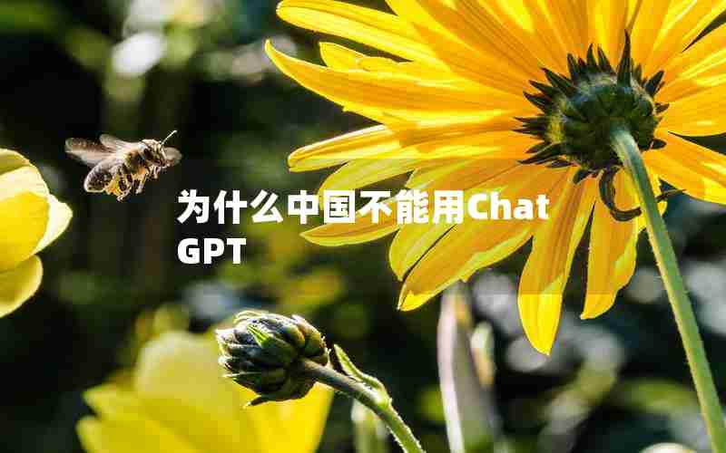 为什么中国不能用ChatGPT