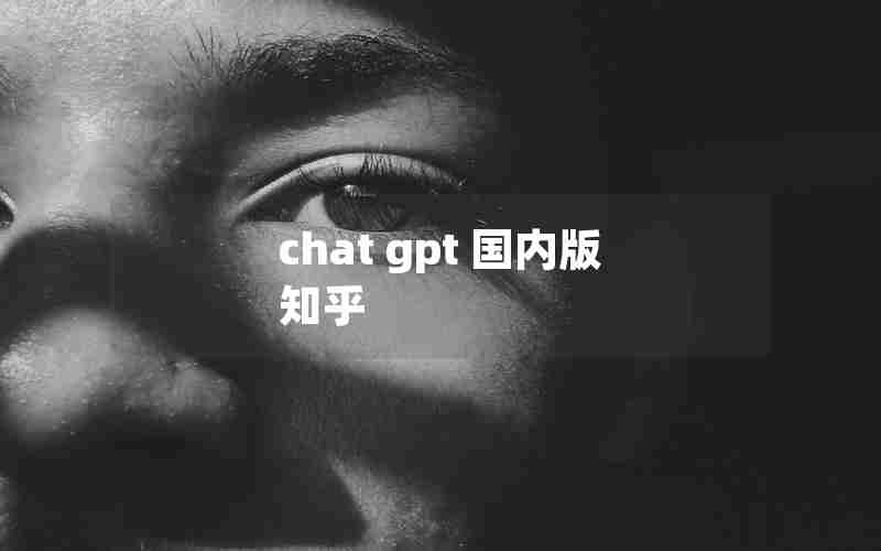 chat gpt 国内版 知乎