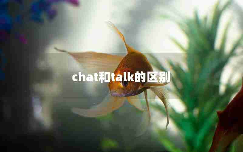 chat和talk的区别