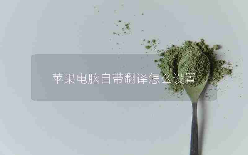 苹果电脑自带翻译怎么设置